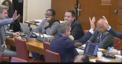 Budget dédié aux outre-mer : des députés de gauche et du RN limitent la casse en commission