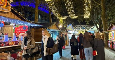CARTE. Les marchés de Noël 2025 originaux et insolites en Centre-Val de Loire : adresses, dates, horaires, toutes les infos pratiques
