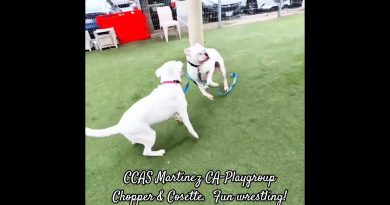 CCAS Martinez : Chopper & Cosette, lutte amusante !