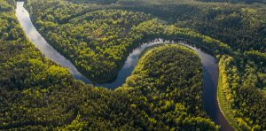 COP 30 : "Il ne faut pas abandonner l'objectif des 1,5 degrès" Greenpeace Lyon | Commune Planète autour de Lyon