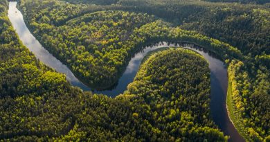COP 30 : "Il ne faut pas abandonner l'objectif des 1,5 degrès" Greenpeace Lyon | Commune Planète autour de Lyon
