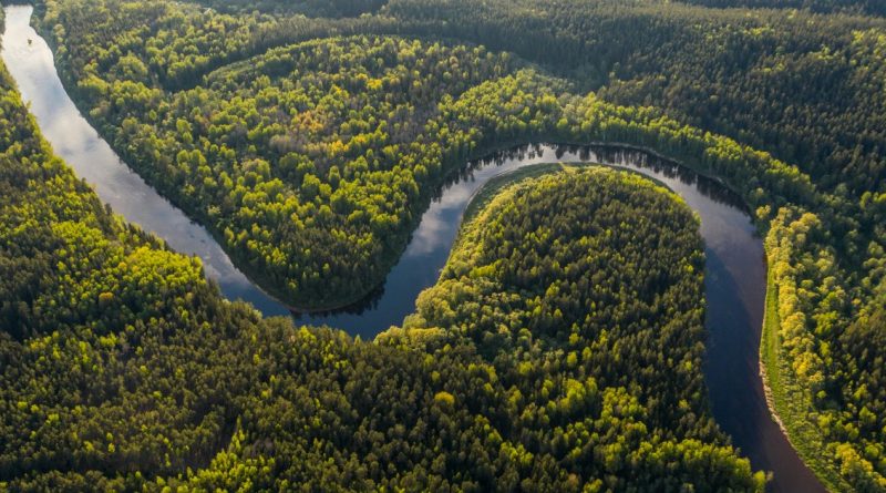 COP 30 : "Il ne faut pas abandonner l'objectif des 1,5 degrès" Greenpeace Lyon | Commune Planète autour de Lyon