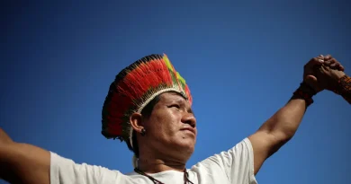 COP 30, fin du shutdown américain et examen de la sortie de prison de Sarkozy : actu du 10 novembre