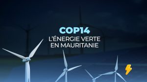 COP14 : La Mauritanie mise sur l'énergie verte