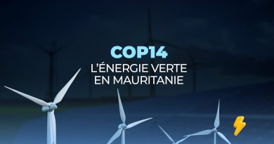 COP14 : La Mauritanie mise sur l'énergie verte