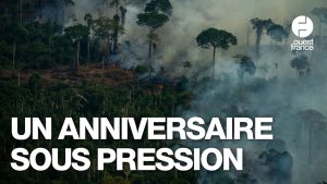 COP30 au Brésil : Défis dix ans après l'Accord de Paris