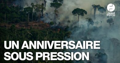 COP30 au Brésil : Défis dix ans après l'Accord de Paris