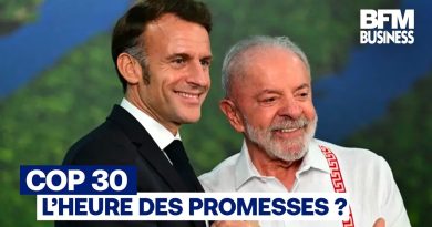 COP30 au Brésil : Sauver le multilatéralisme climatique