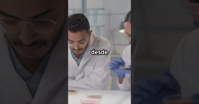 CRISPR : Une Révolution Durable en Biotechnologie