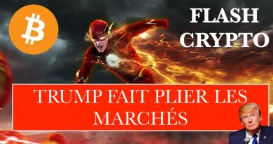 🚨 CRYPTO FLASH : Trump influence les marchés, un altcoin en 2025 ?