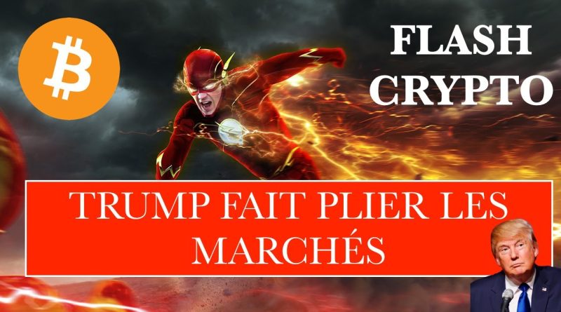 🚨 CRYPTO FLASH : Trump influence les marchés, un altcoin en 2025 ?