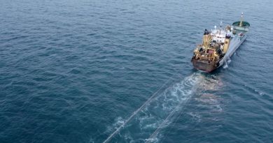 "Ça suffit !" : la colère des pêcheurs contre des bateaux-usines en action à quelques kilomètres des côtes