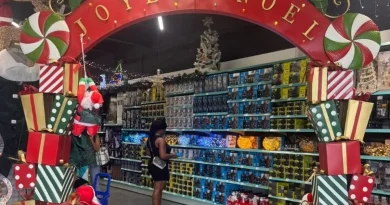 Calendrier de la Toussaint à Noël : une période de plus en plus courte en Martinique