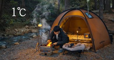 Camping en forêt avec mon chien : feu de bois et poisson grillé