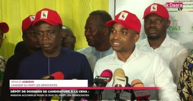 Candidatures à la CENA : succès du parti Les Démocrates