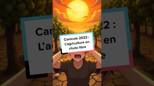 Canicule 2022 : L'agriculture française en crise
