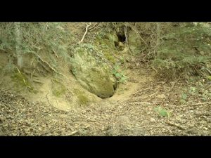 Canicule 2025 : La résurgence inattendue