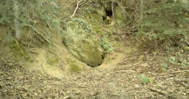 Canicule 2025 : La résurgence inattendue