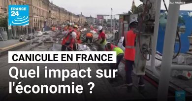 Canicule en France : impacts économiques à prévoir