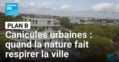 Canicules urbaines : la nature, souffle vital des villes