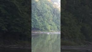 Canoë-Kayak en Belgique : découvrez les meilleures spots