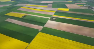 [Vidéo] Fête des causes à défendre le 29 novembre : quelle agriculture pour l'avenir ?