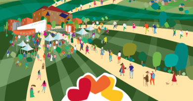 Arras : rassemblement diocésain Hosanna 2026 de l’Église catholique en France affiche diocèse d'arras - Pentecôte 2026