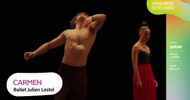 Carmen : Une Danse Éblouissante