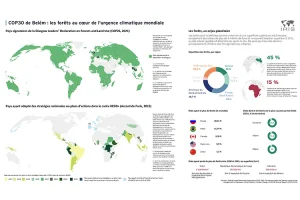 COP30 de Belém : les forêts au centre de l'urgence climatique mondiale