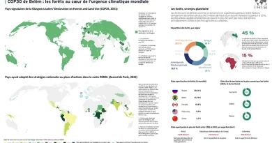 COP30 de Belém : les forêts au centre de l'urgence climatique mondiale
