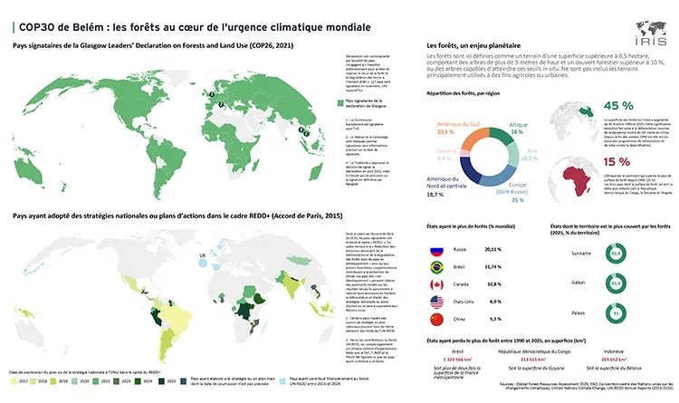 COP30 de Belém : les forêts au centre de l'urgence climatique mondiale