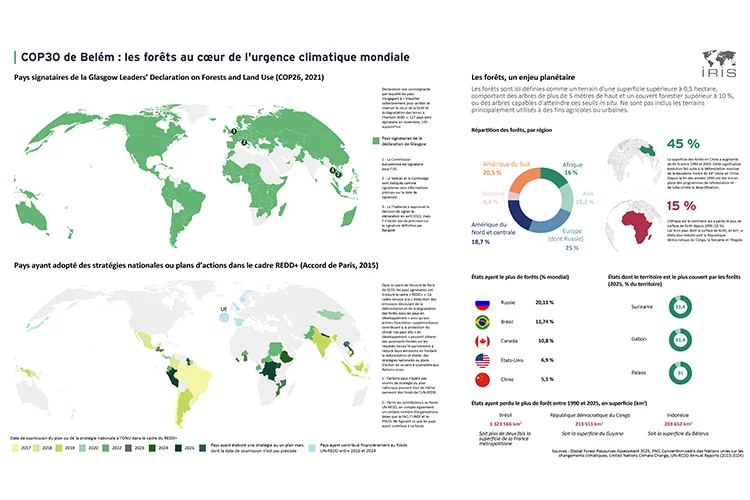 COP30 de Belém : les forêts au centre de l'urgence climatique mondiale