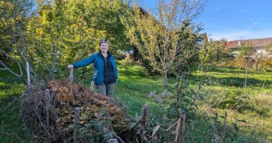 Catherine à Neuvecelle fait des tas de bois et de pierre pour la biodiversité - ICI