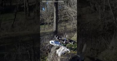 Ce drone inspiré des oiseaux se pose comme un aigle ! 🦅