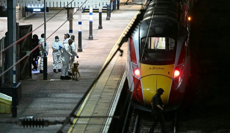 Ce que l'on sait de l'attaque à l'arme blanche qui a fait au moins dix blessés dans un train en Angleterre