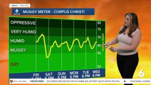 Ce week-end : Temps splendide, mais vigilance pour les inondations côtières.