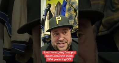 Censure massive en Corée du Sud : vers une dystopie ?