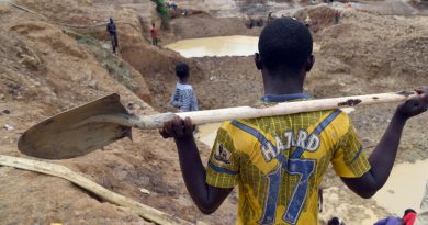 Centrafrique: Pékin lance un avertissement aux Chinois venus travailler dans les mines