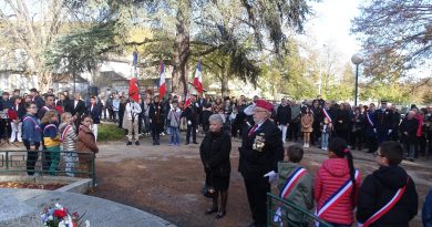 Cérémonie du 11 novembre