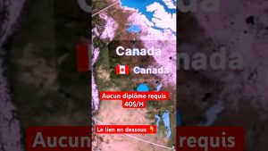 Ces emplois que j'ai eus : lequel transformera ta vie ?