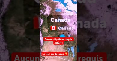 Ces emplois que j'ai eus : lequel transformera ta vie ?