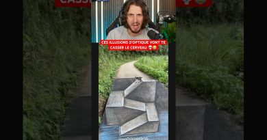 Ces illusions d'optique vont te surprendre ! 💥