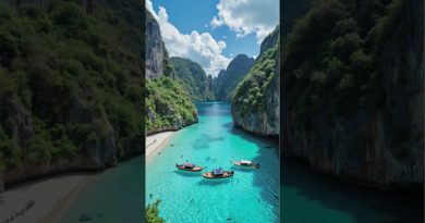 Ces photos sont vraiment époustouflantes, non ?