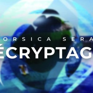 Cétacés : L'Association Recherche Insulaire (CARI) pour la préservation des espèces marines