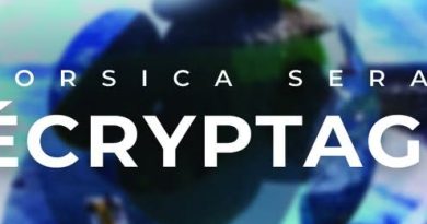 Cétacés : L'Association Recherche Insulaire (CARI) pour la préservation des espèces marines