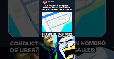 Cette, Celle-là et L'Autre : Enjeux et Perspectives