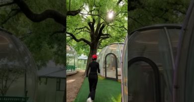 Cette maison de glamping vous séduit-elle ?