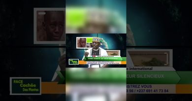 Cette vidéo peut transformer votre vie avec le diabète !