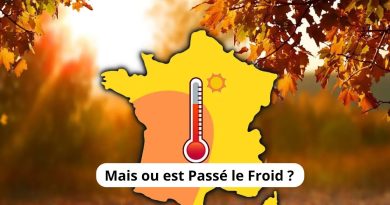 Chaleur Inattendue en Novembre 2025 : Où est le Froid ?