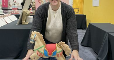Chalon-sur-Saône. Un cheval à bascule : le chef-d’œuvre d’Émilie Prost au championnat de France de cake design